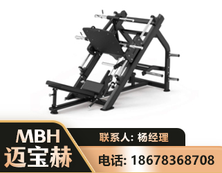 咸宁45°倒蹬训练器