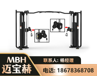 咸宁大飞鸟训练器